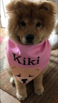 Kiki In Lock Down