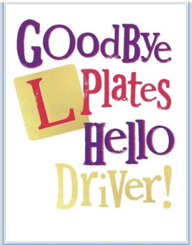 Passed 1st attempt with 4 DF’s, “Shaun” taught me to drive, great instructor made lessons simple and covered what I needed to pass test. <br />
<br />
Very highly recommended.